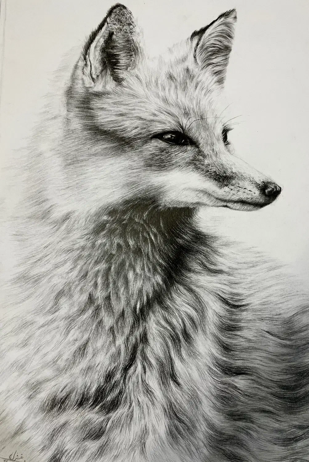 آموزش طراحی ونقاشی به صورت خصوصی|خدمات آموزشی|شیراز, میانرود|دیوار