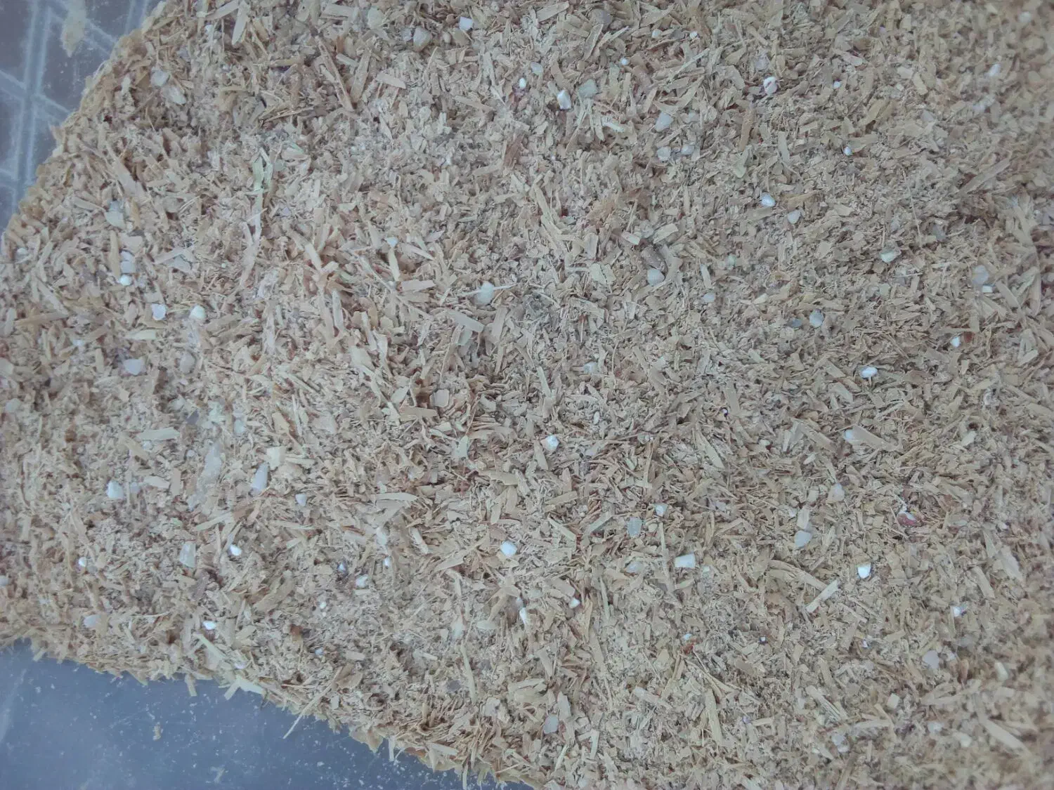 سبوس برنج فل کود مرغی|لوازم جانبی حیوانات|آستانه اشرفیه, |دیوار