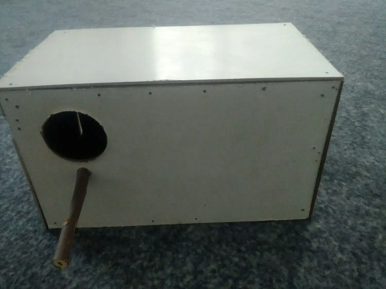 لانه عروس هلندی|لوازم جانبی حیوانات|میناب, |دیوار