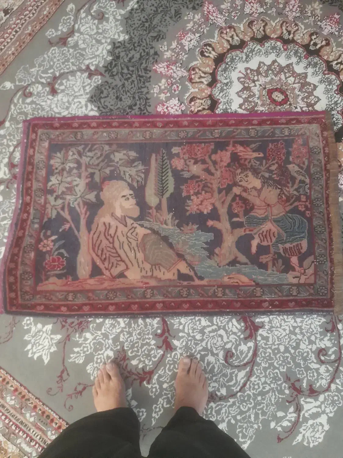 قالیچه دستی|فرش|کرمانشاه, |دیوار