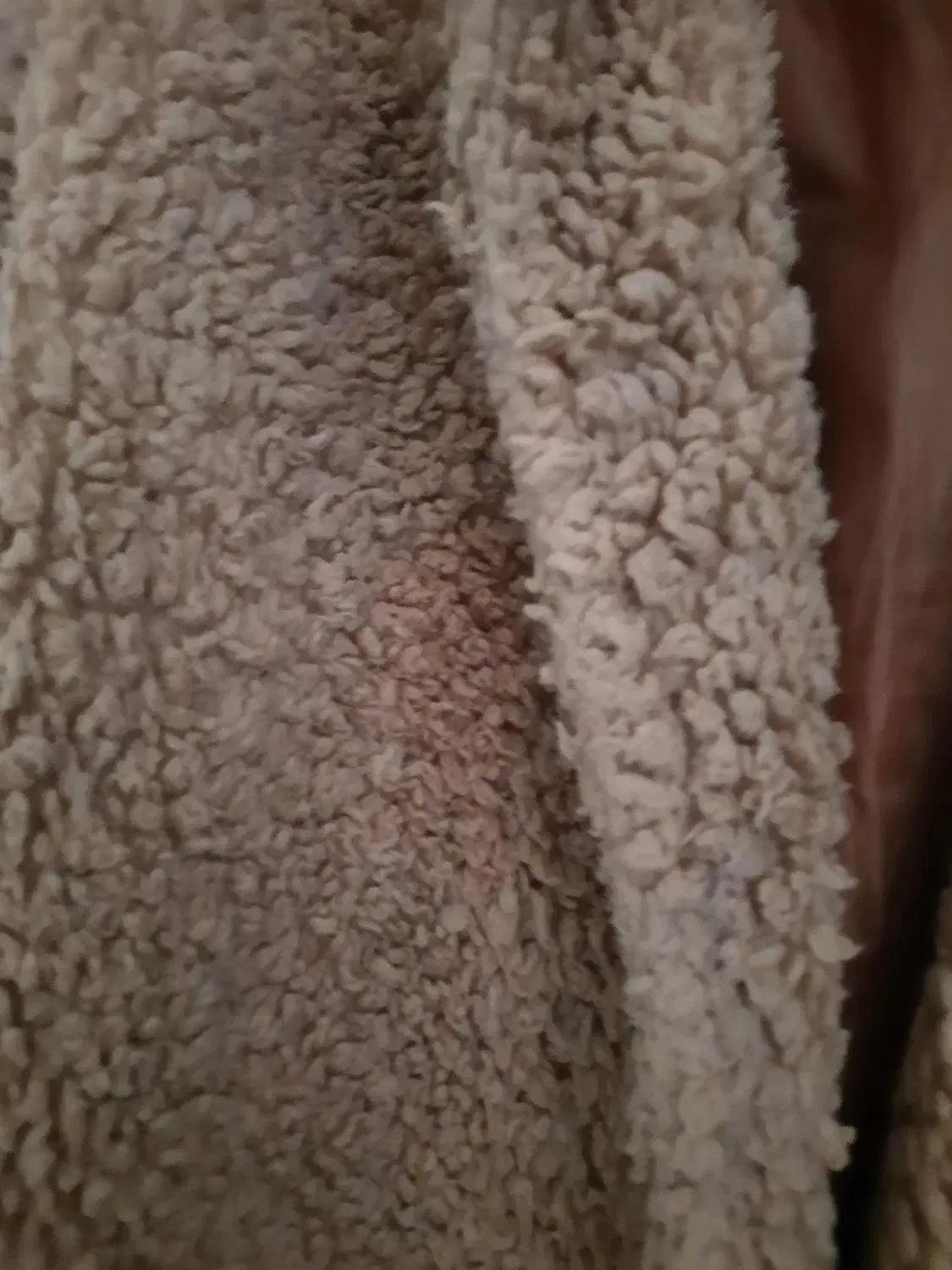 تدی|لباس|نوشهر, |دیوار