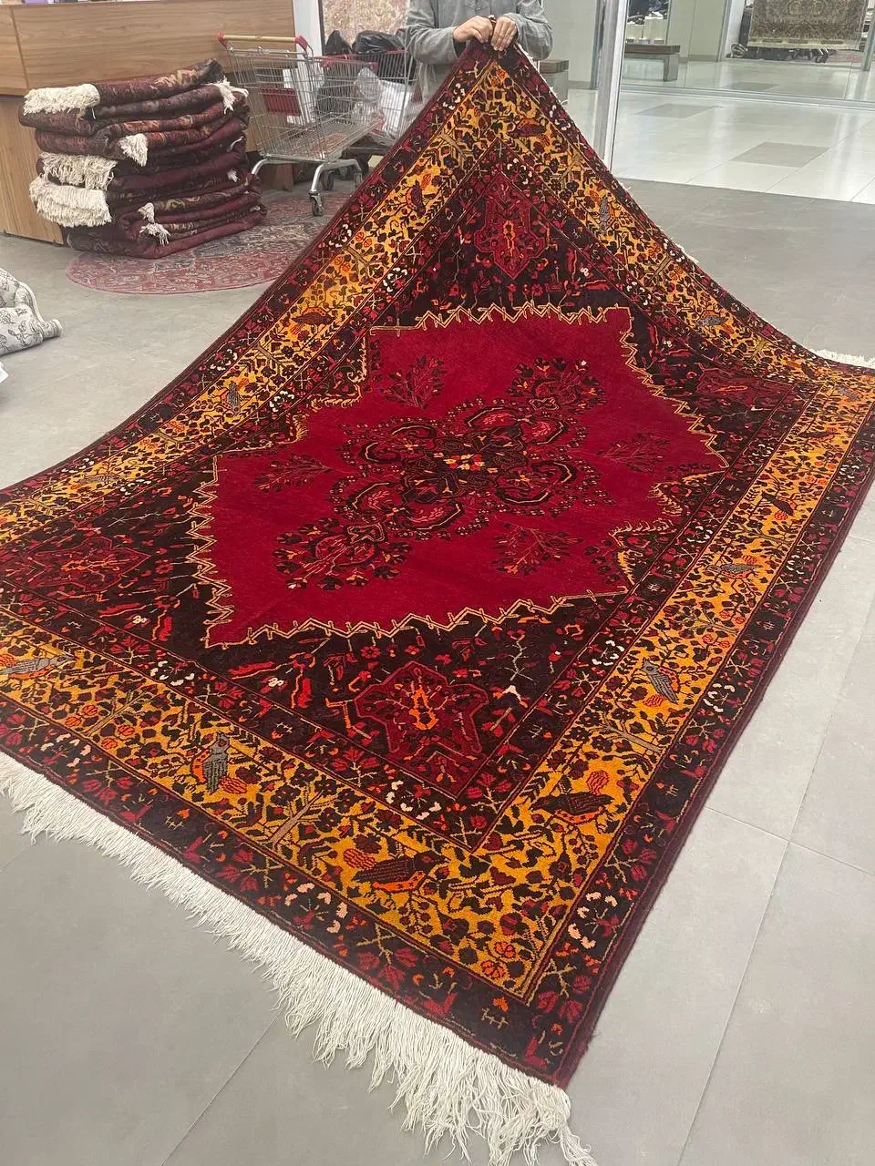 فرش دستباف (بساک)شعبه دورود جنب فرمانداری|فرش|مشکین‌دشت, |دیوار