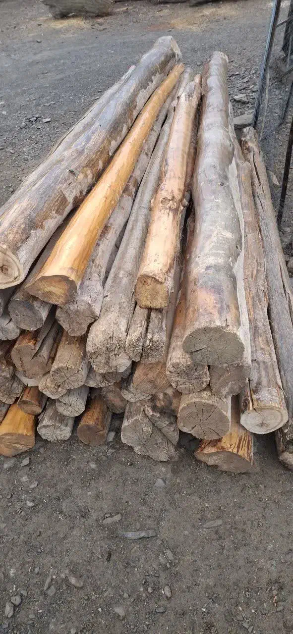 هرص و برش چوب در باقات شما عزیزان|خدمات باغبانی و درختکاری|اراک, |دیوار