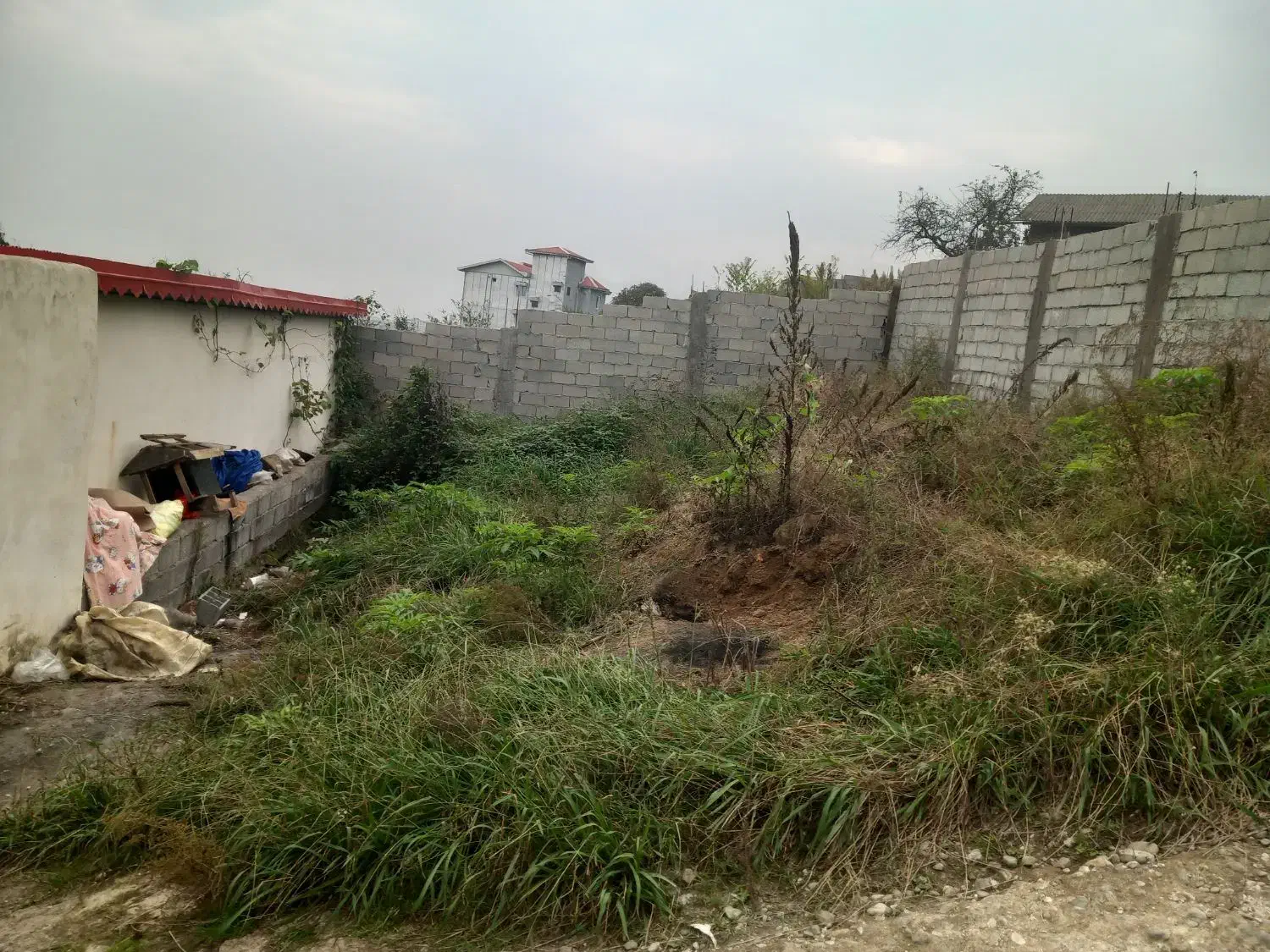 زمین مسکونی ۱۰۰متر/تالش/تیتک/نقد/چک|فروش زمین و ملک کلنگی|تالش, هشتپر|دیوار