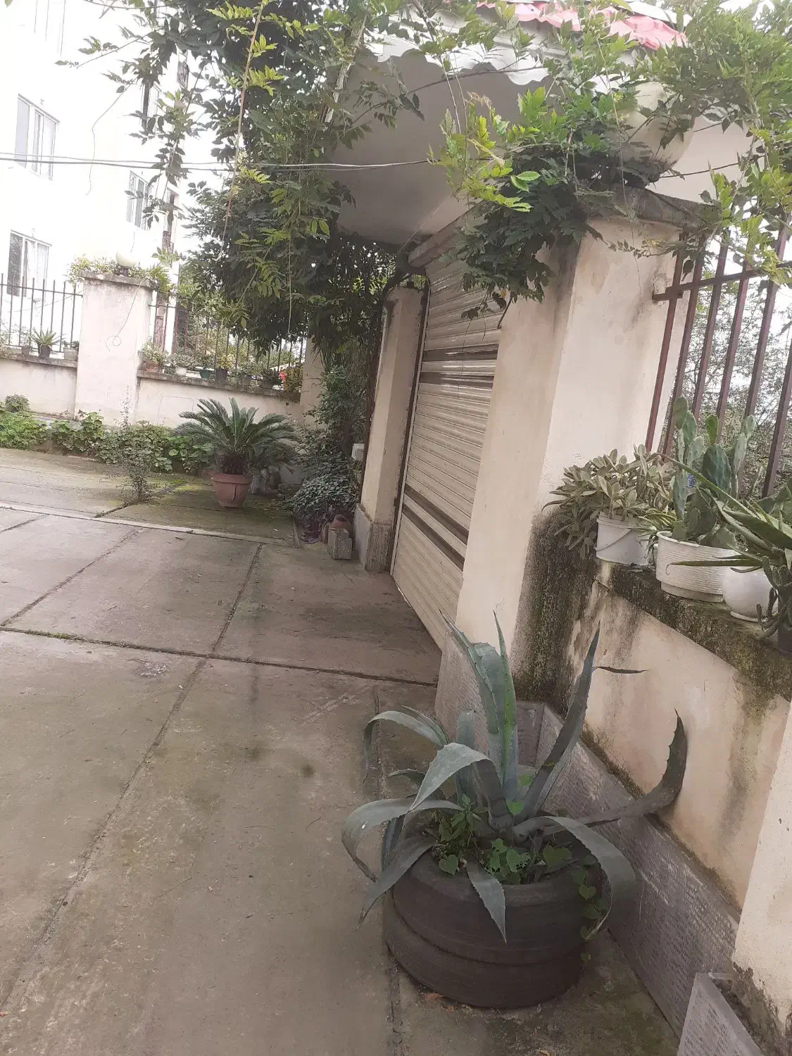 اجاره آپارتمان سالانه ماسال|اجارهٔ آپارتمان|ماسال, |دیوار