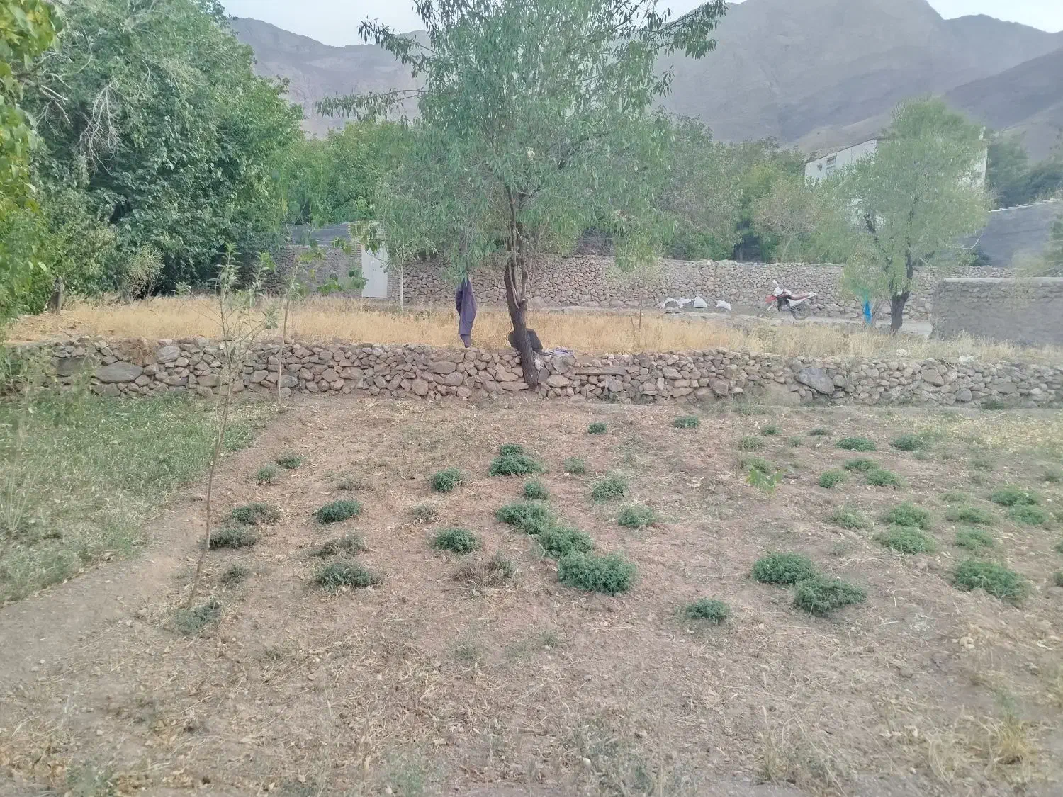 فروش فوری زمین|فروش خانه و ویلا|خضر آباد, |دیوار