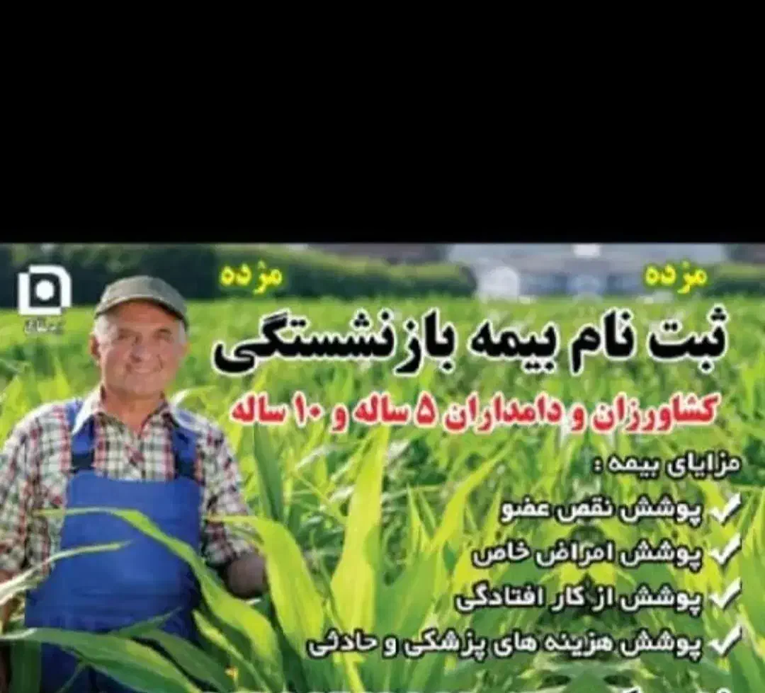 صدور بیمه تکمیلی انفرادی و بیمه طرح بازنشستگی|خدمات مالی، حسابداری، بیمه|اهواز, نادری|دیوار