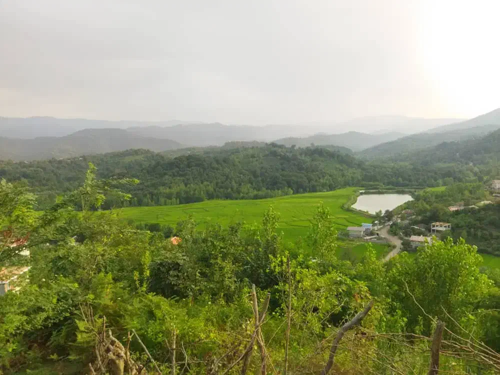 فروش زمین ویودار اطاقور ایشیان|فروش زمین و ملک کلنگی|اطاقور, |دیوار