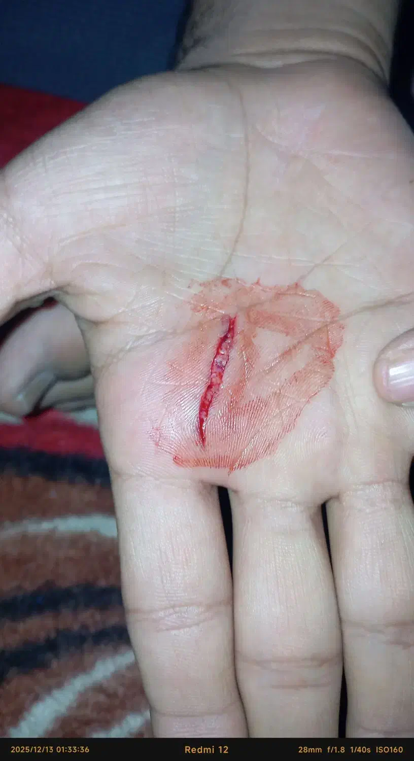 پول لازمم|فعالیت داوطلبانه تحقیقاتی|بوشهر, |دیوار