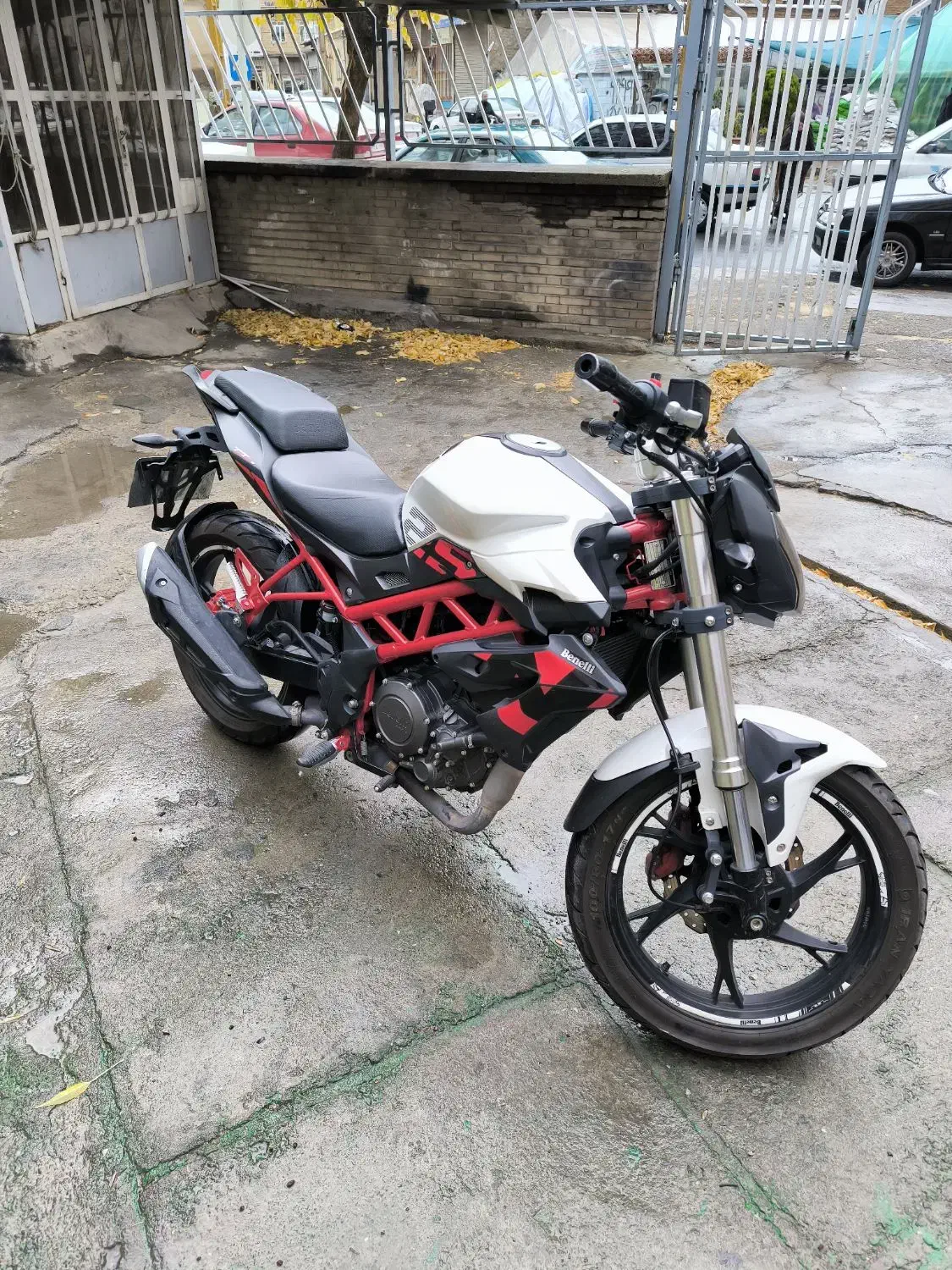 موتورسیکلت بنلی ۲۵۰ سی سی تک سیلندر|موتورسیکلت|بانه, |دیوار