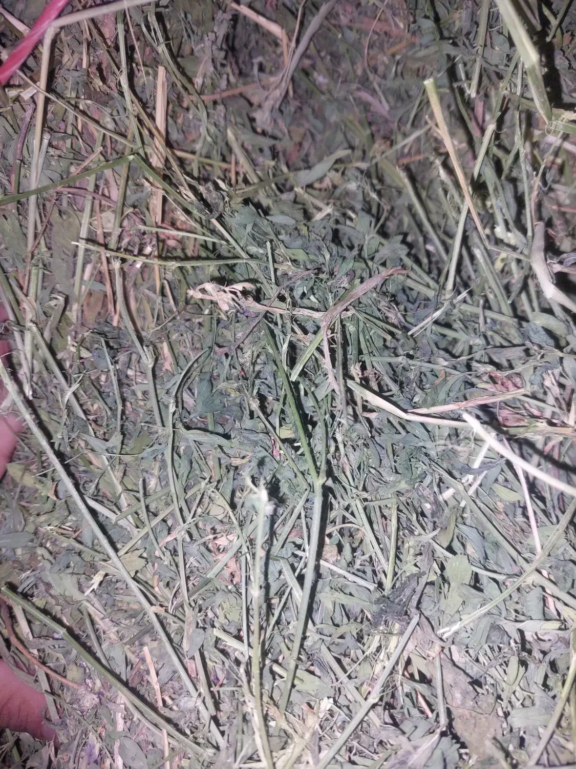 پرس یونجه|لوازم جانبی حیوانات|گرمخان, |دیوار