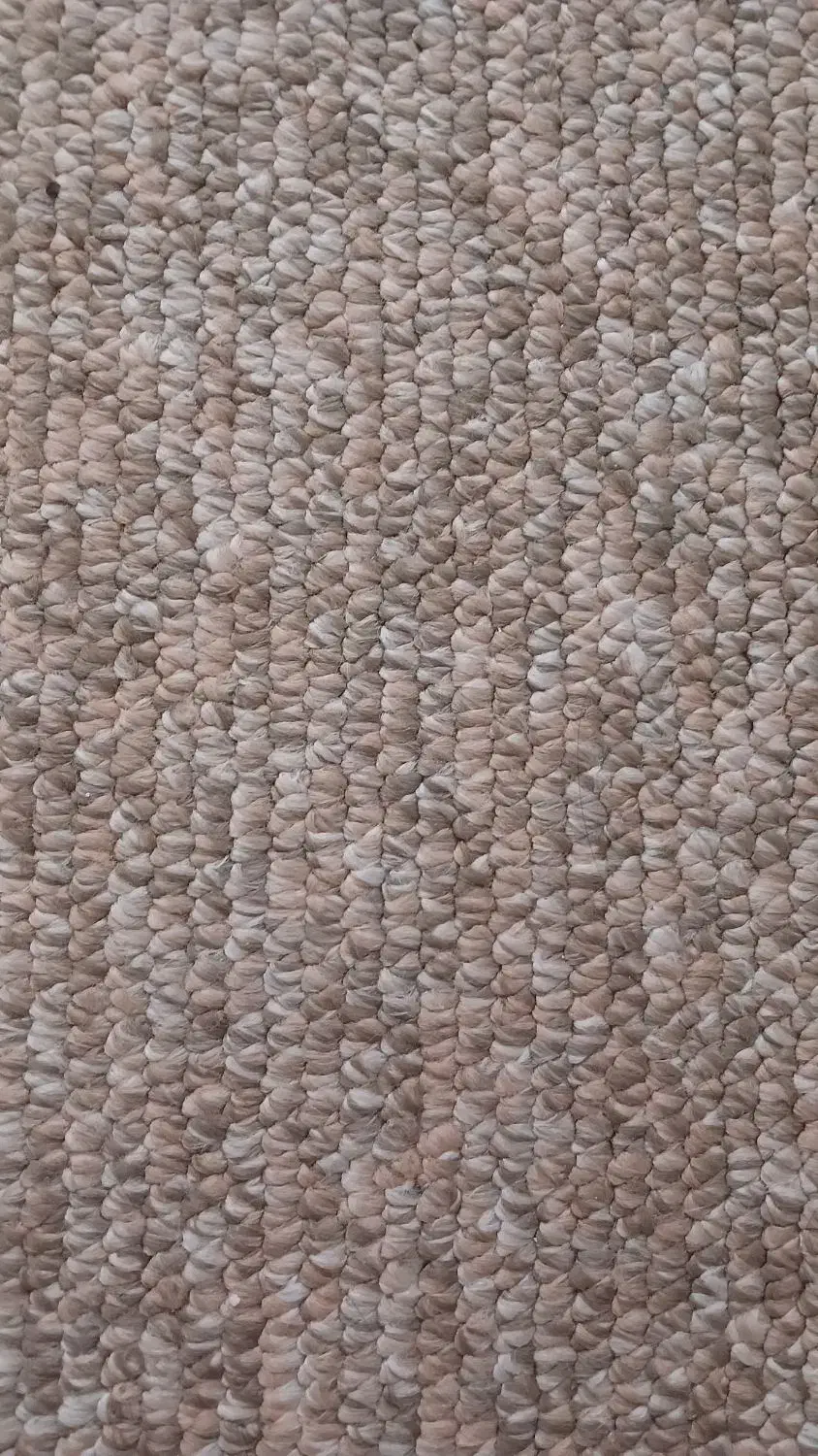 ۲عدد پالاز موکت دوازده متری|موکت|بروجرد, |دیوار