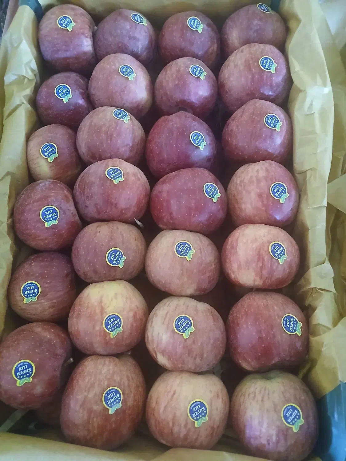 استخدام نیروی خانوم|استخدام بازاریابی و فروش|اهر, |دیوار