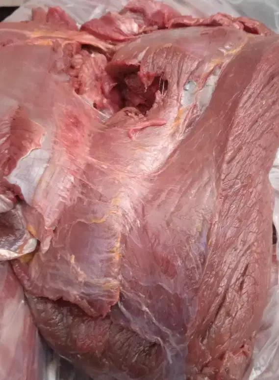 گو.شت. چرخی.وخورشتی|خوردنی و آشامیدنی|هشتگرد, هشتگرد قدیم|دیوار