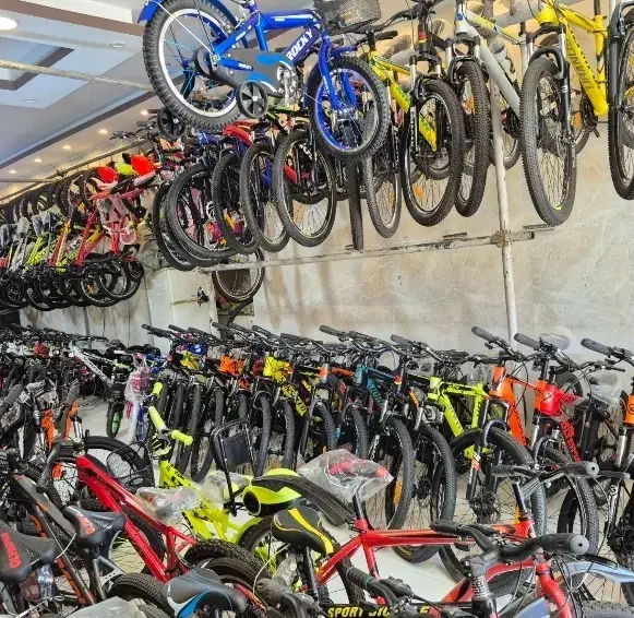 دوچرخه دیسکی لاستیک پهن|دوچرخه، اسکیت، اسکوتر|زرند, |دیوار