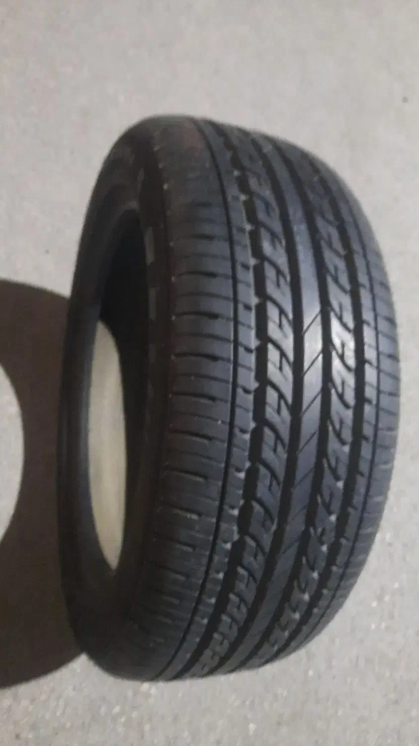 تایرنو|قطعات یدکی و لوازم جانبی|لالی, |دیوار