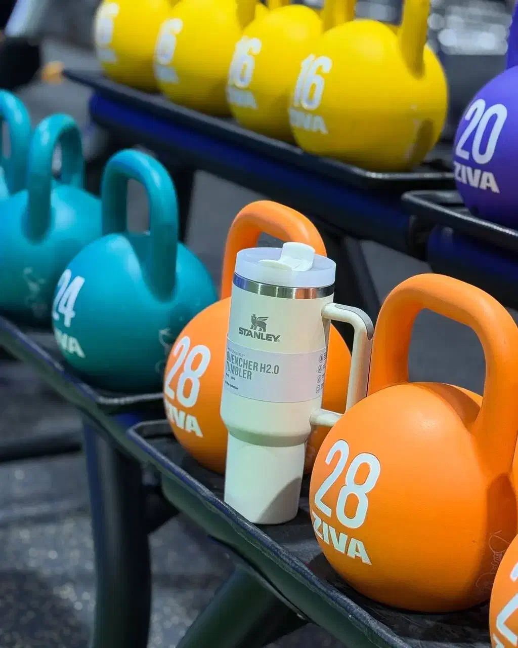 ماگ استنلی اصل(مناسب باشگاه و دانشگاه و)|کوهنوردی و کمپینگ|سنندج, |دیوار