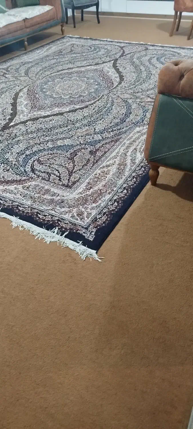 فرش وموکت|فرش|گرگان, |دیوار