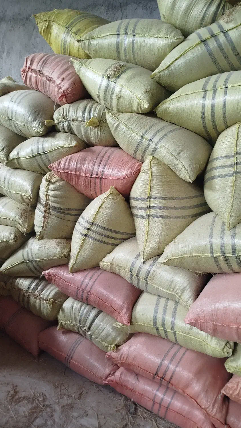 کاه گندم وعدس|حیوانات مزرعه|اهر, |دیوار