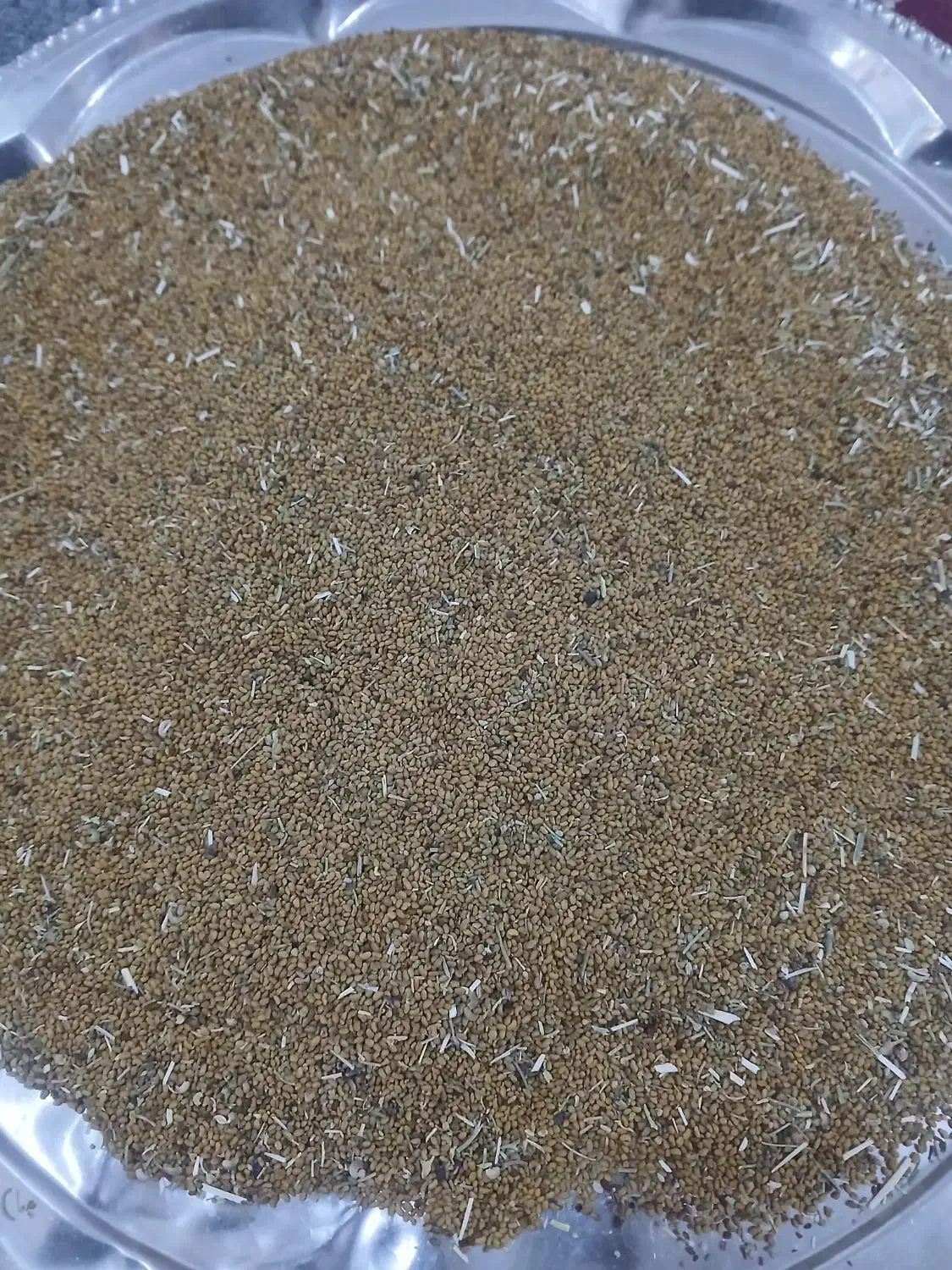 بذر یونجه سالم واعلا|گل و گیاه طبیعی|بکتاش, |دیوار