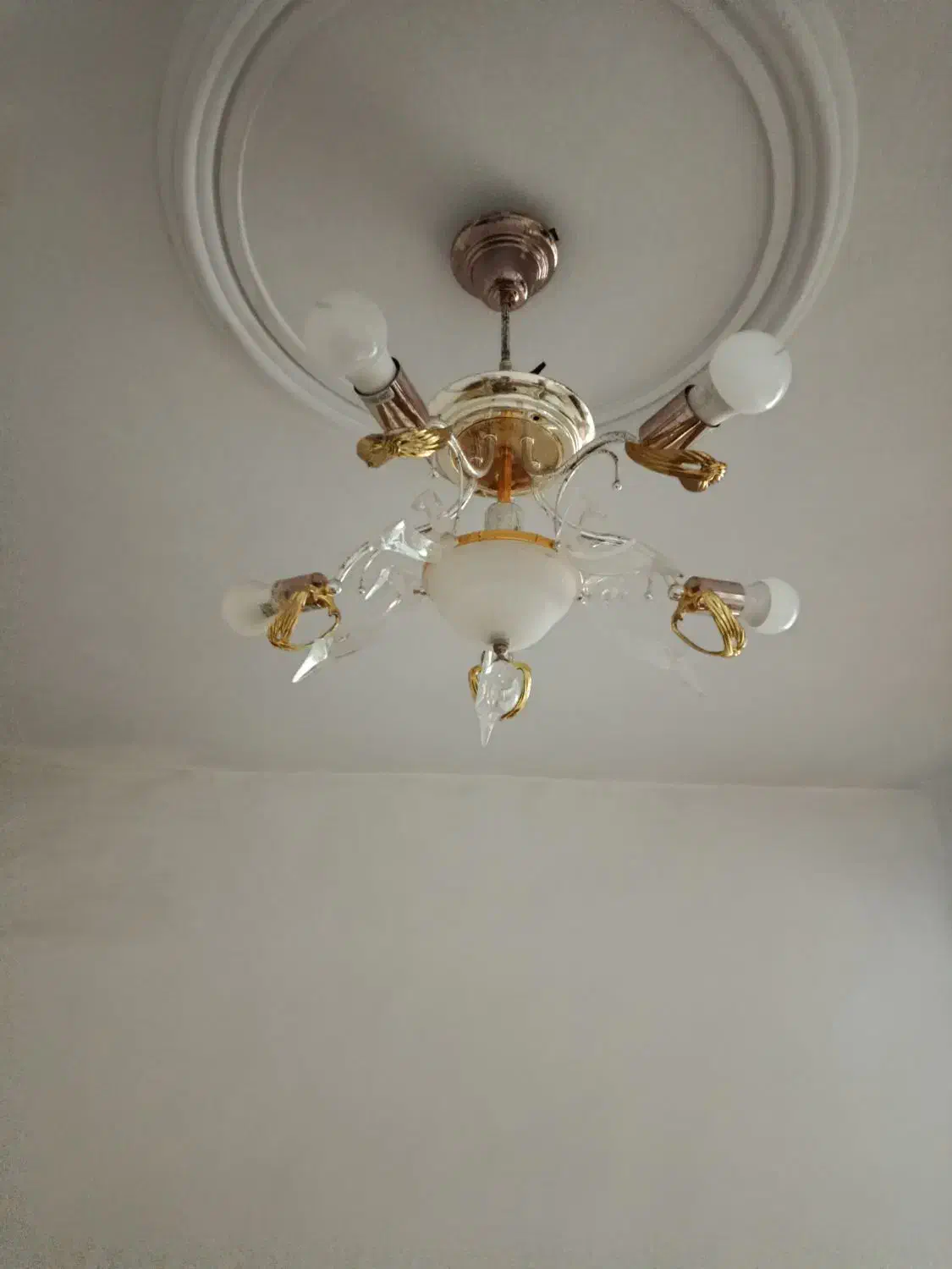 لوسترزیبا|لوستر و چراغ آویز|رشت, شهرک پردیسان|دیوار