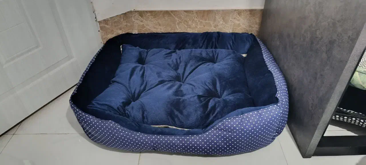 تشک سگ و گربه وارداتی مناسب ژرمن،پودل،شیتزو|لوازم جانبی حیوانات|مشهد, کوه سنگی|دیوار