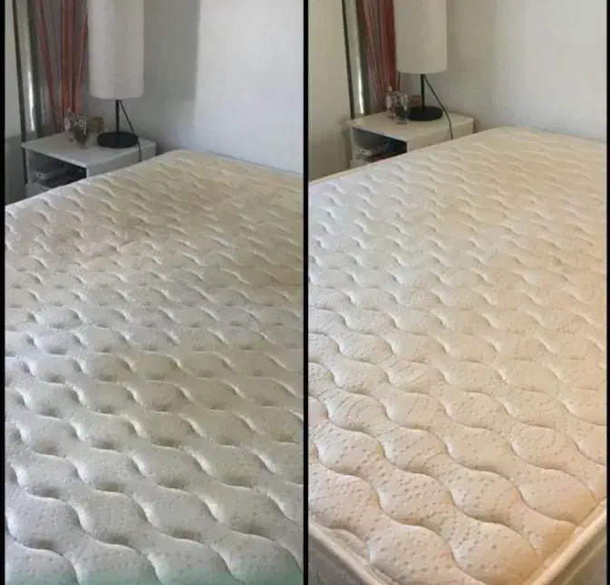 مبل شویی پالاز شویی در منزل|خدمات نظافت|دهدشت, |دیوار