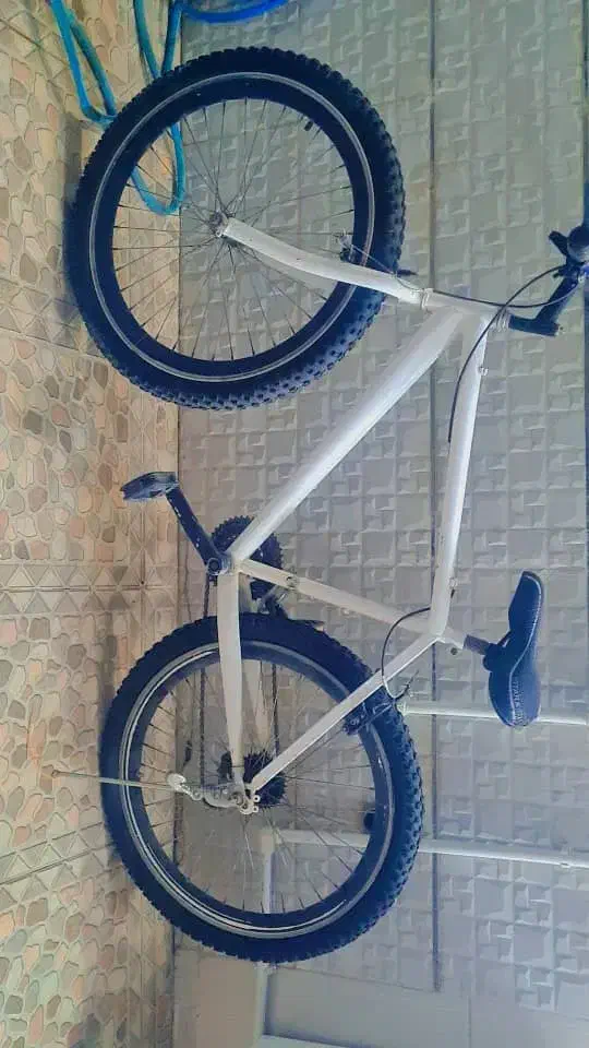 دوچرخه|دوچرخه، اسکیت، اسکوتر|اندیمشک, |دیوار