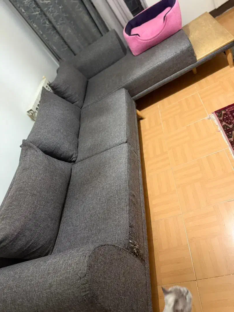 مبل ال|مبلمان خانگی و میز عسلی|گرگان, |دیوار