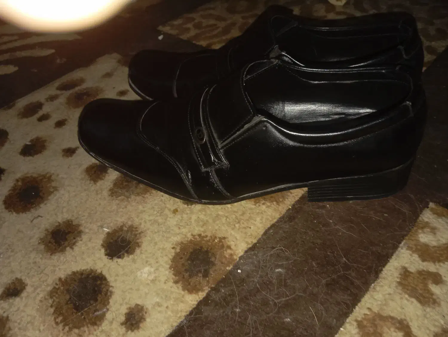 کفش چرم مجلسی|کیف، کفش، کمربند|شیراز, لاله|دیوار