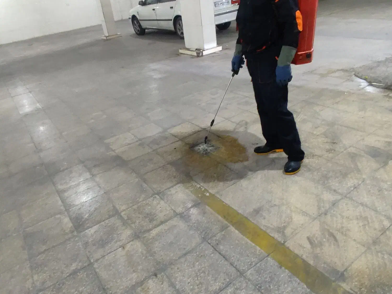 سمپاشی سوسک کابینت ،ساس،موریانه|خدمات نظافت|شوش, |دیوار