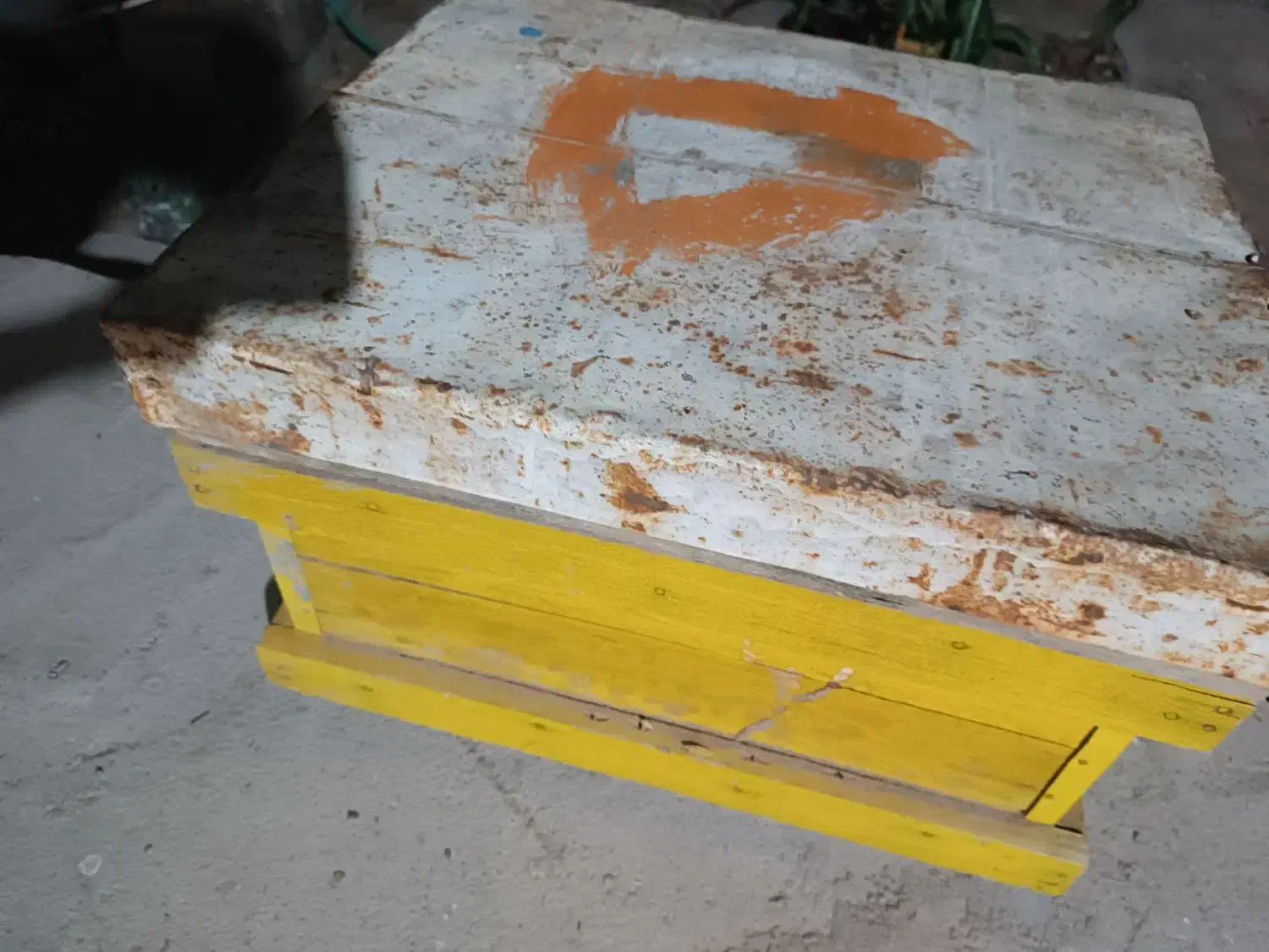 کندوزنبور|حیوانات مزرعه|زرند, |دیوار