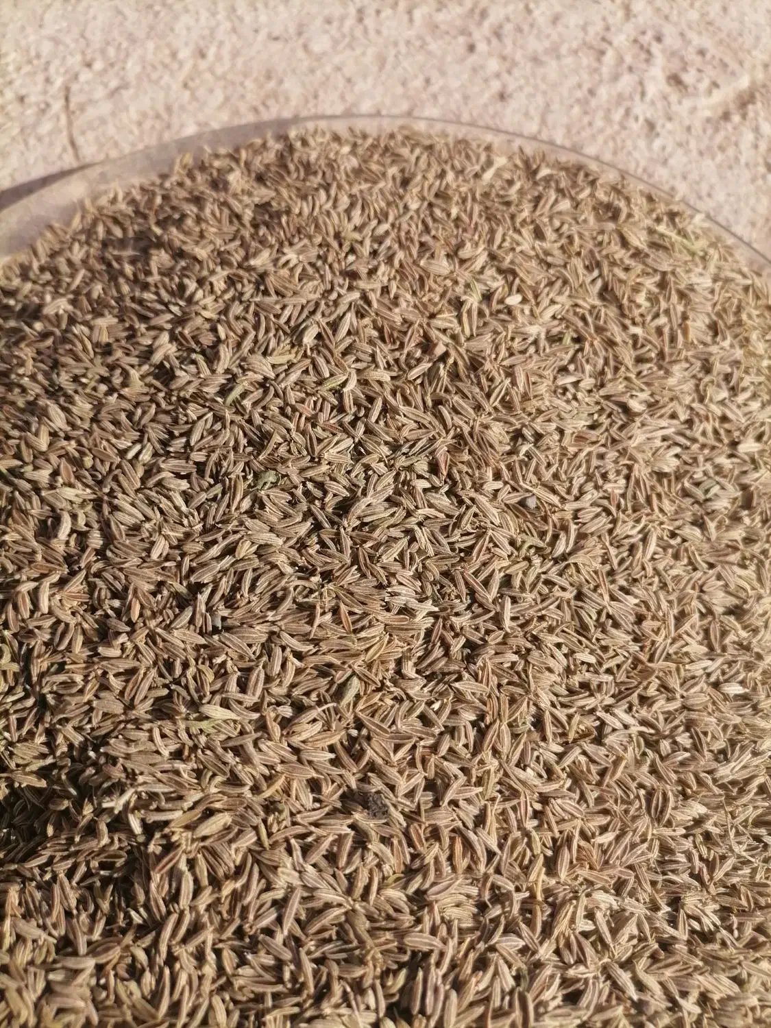 زیره سبزتمیز|خوردنی و آشامیدنی|تربت جام, معدآباد|دیوار