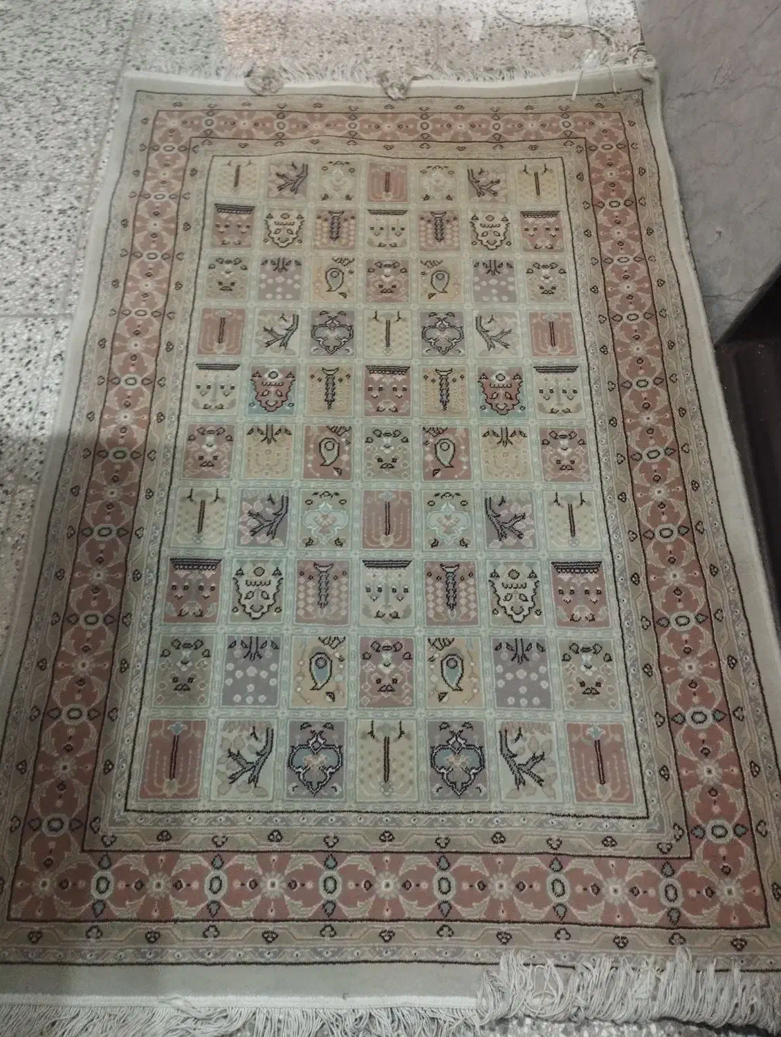 فرش پالاز موکت|موکت|شاهرود, |دیوار