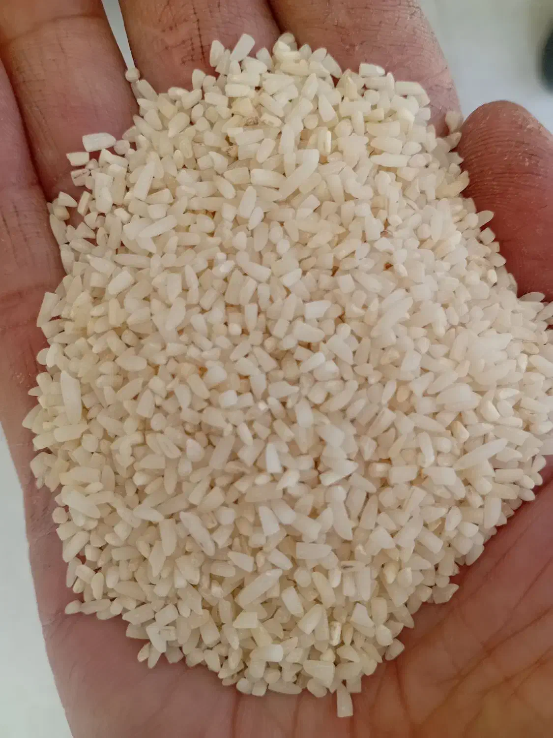 برنج لاشه نیمدانه هاشمی کم دودی|خوردنی و آشامیدنی|قزوین, |دیوار