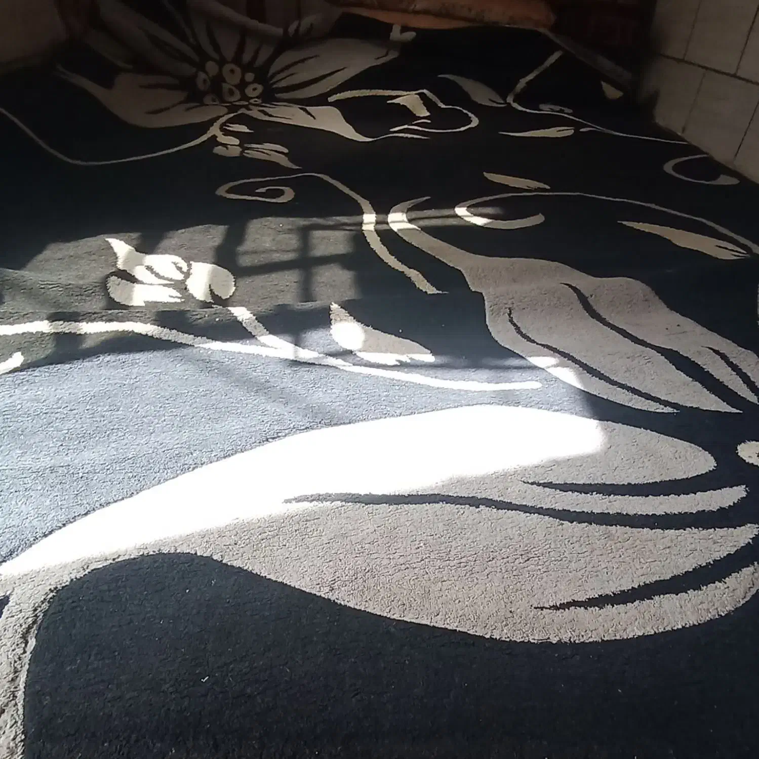 قالی 12متری|فرش|بندر ماهشهر, |دیوار