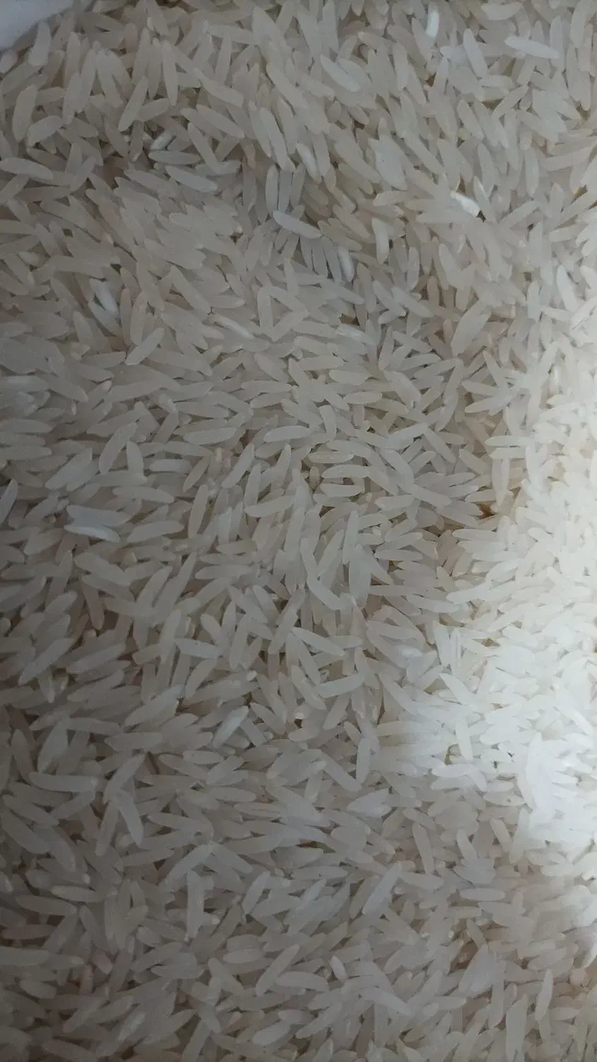 برنج طارم درجه ۱|خوردنی و آشامیدنی|گلپایگان, |دیوار