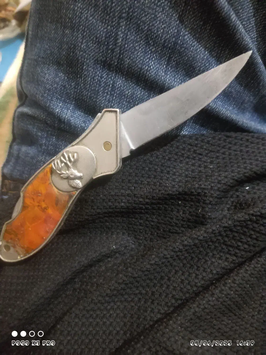 چاغو عتیقه بامهرگوزن|کلکسیون و سرگرمی|کارون, |دیوار