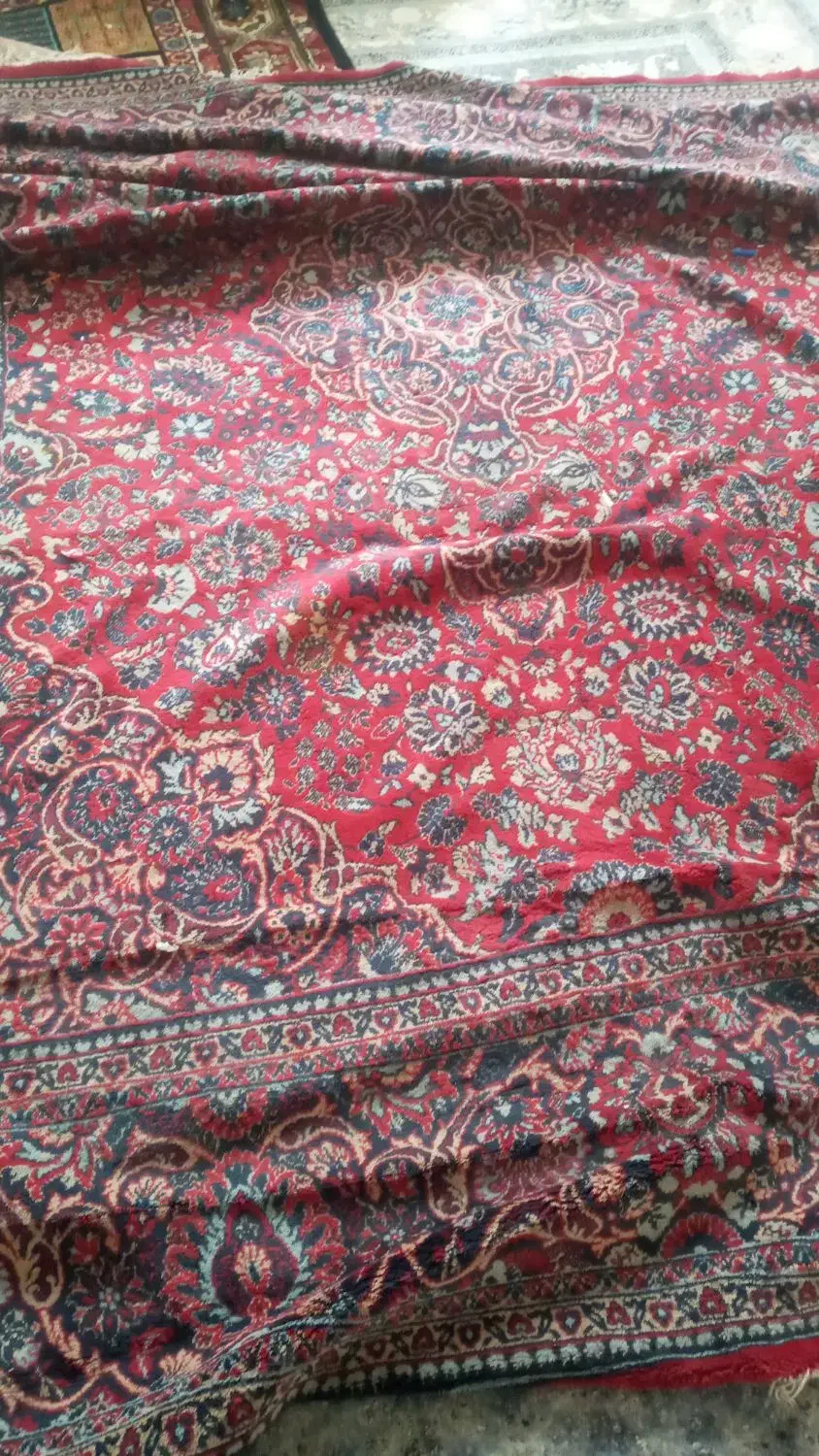 قالی 12 متری|فرش|ایوان, |دیوار