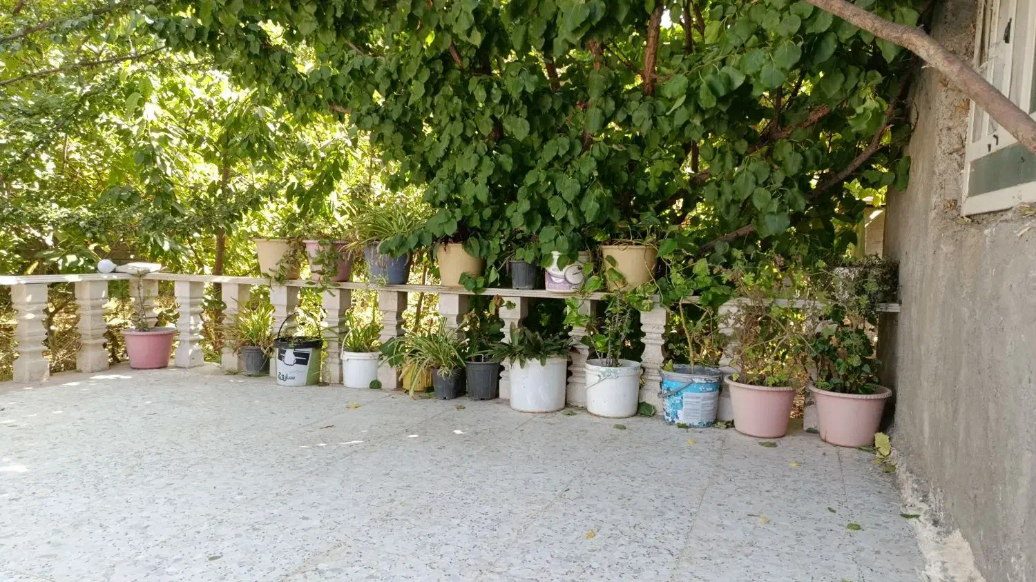 اجاره ویلا مبله دهبکری|اجارهٔ خانه و ویلا|دهبکری, |دیوار