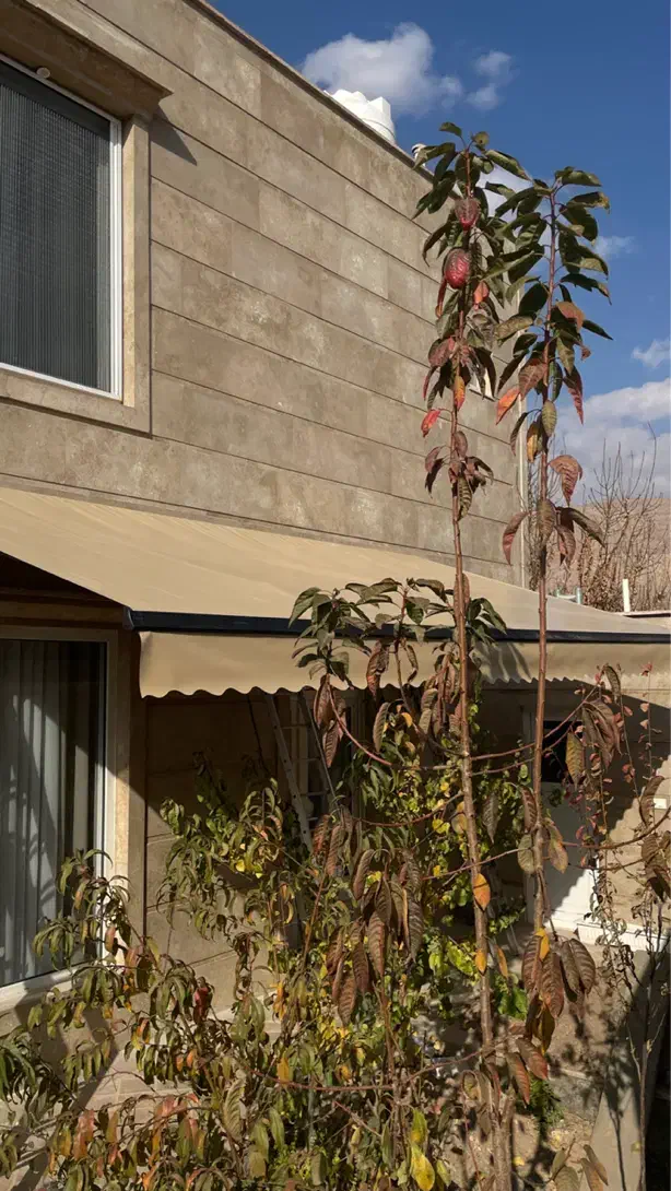 نصب جک پارکینگی کرکره برقی دوربین مدار بسته دزدگیر|خدمات پیشه و مهارت|کاشان, میدان کهنه|دیوار