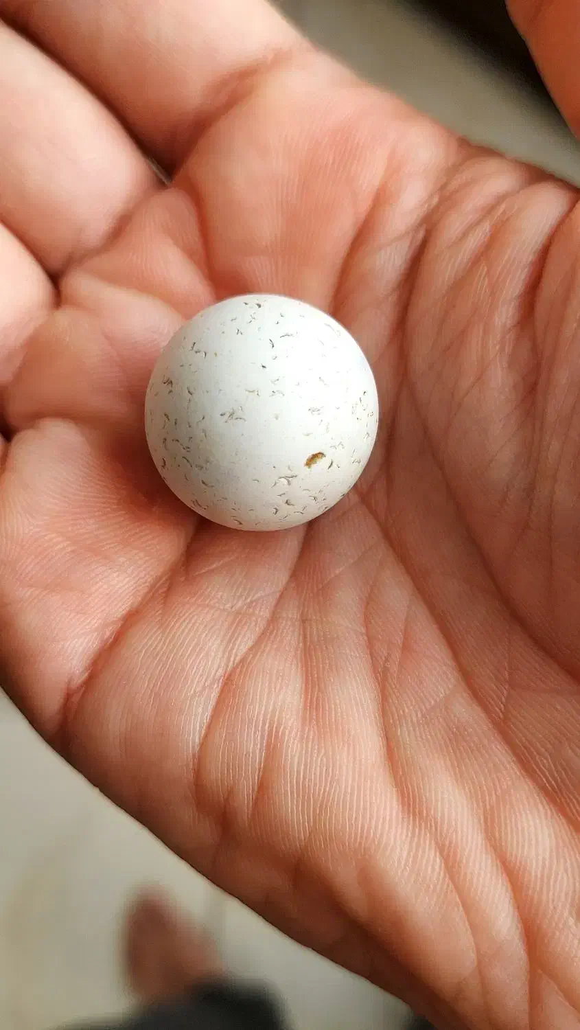 الماس آسیاب اصل سختی ۱۰ چگالی ۳.۵۲|جواهرات|شهرکرد, |دیوار