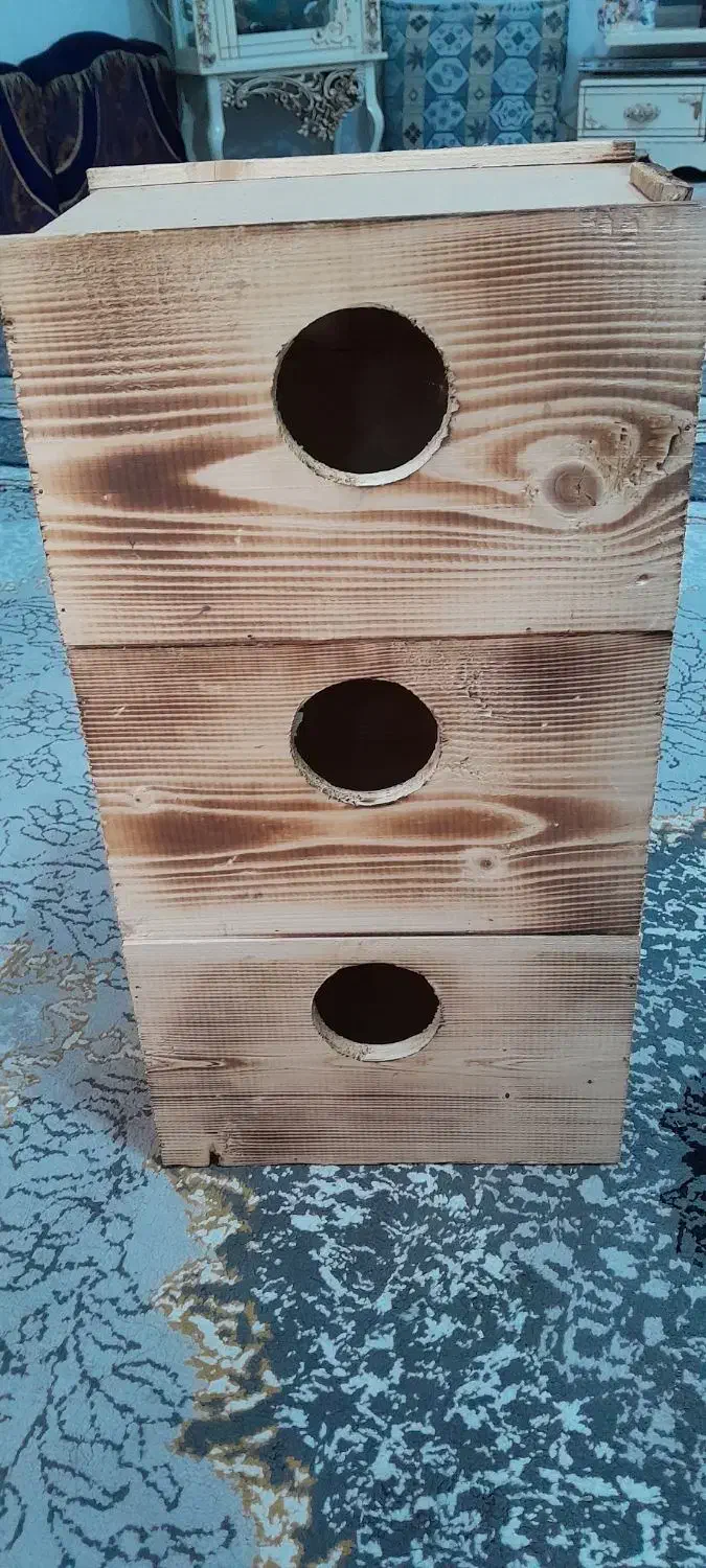 لونه ی پرنده|لوازم جانبی حیوانات|آستانه اشرفیه, |دیوار