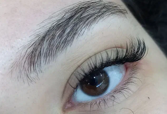 مژه های رویایی با قیمت مناسب و محدود|خدمات آرایشگری و زیبایی|شیراز, امام حسین|دیوار