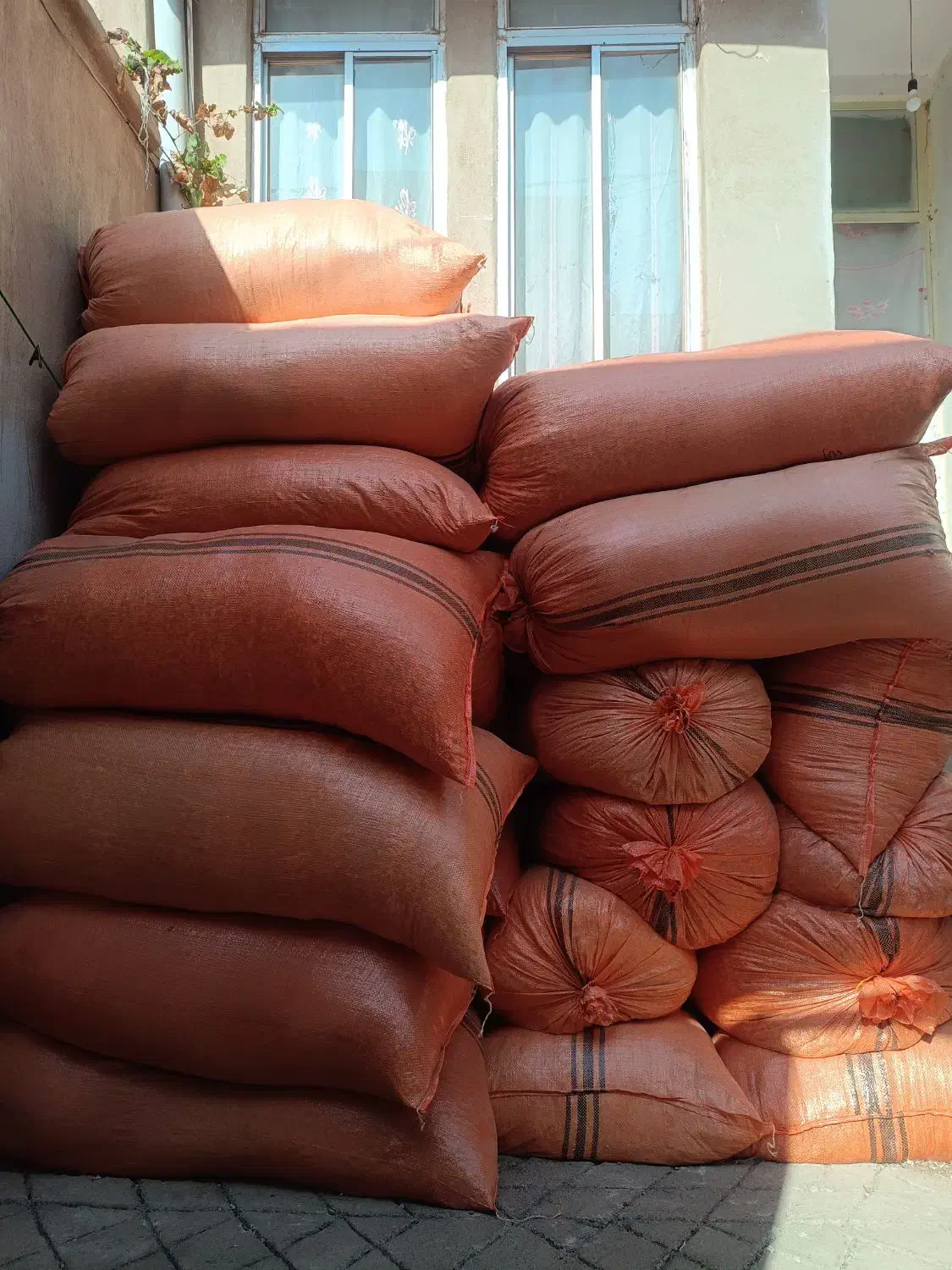 پوشال|عمده‌فروشی|قائن, |دیوار