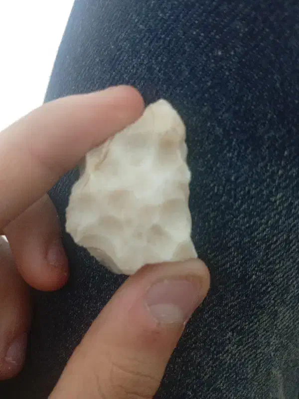 سنگ|کلکسیون اشیاء عتیقه|مشهد, طبرسی شمالی|دیوار