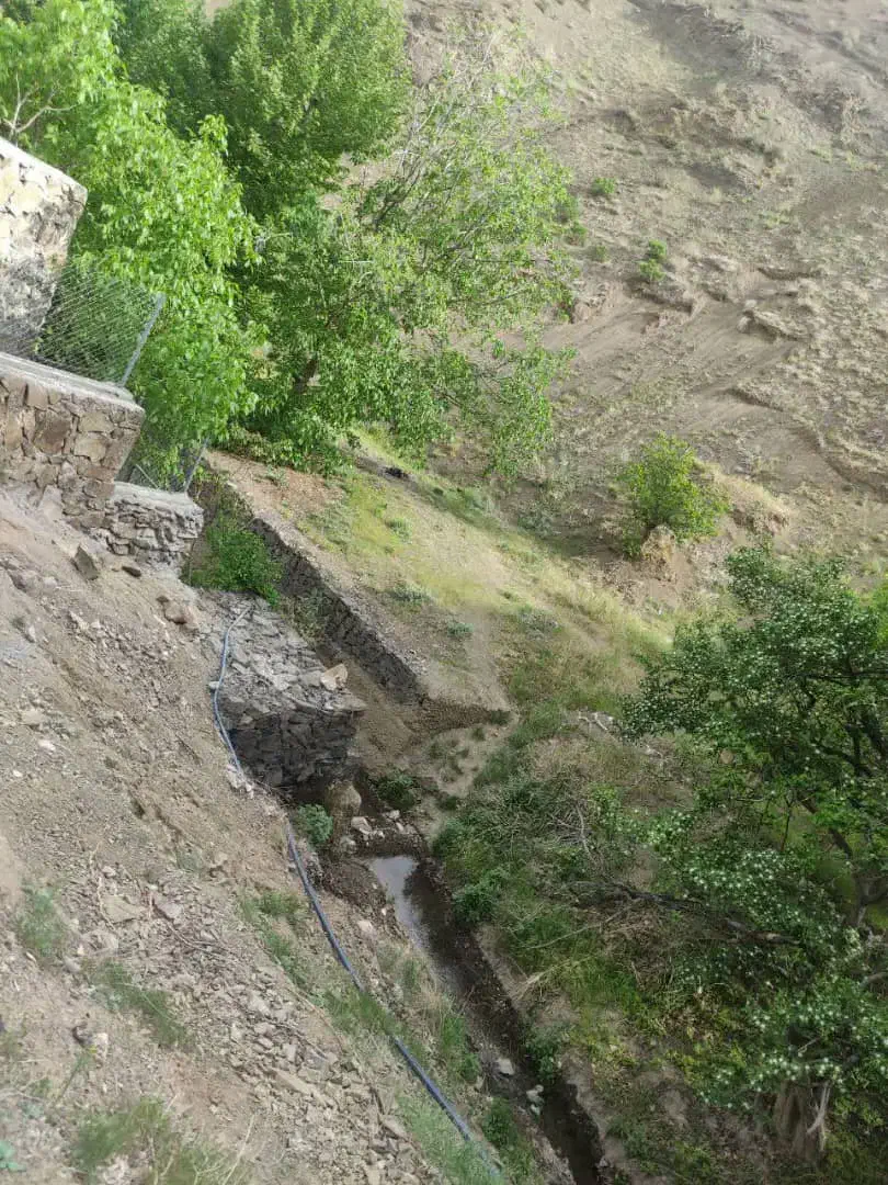 فروش باغچه ۷۰۰ متری با درخت قدیمی|فروش زمین و ملک کلنگی|آسارا, |دیوار