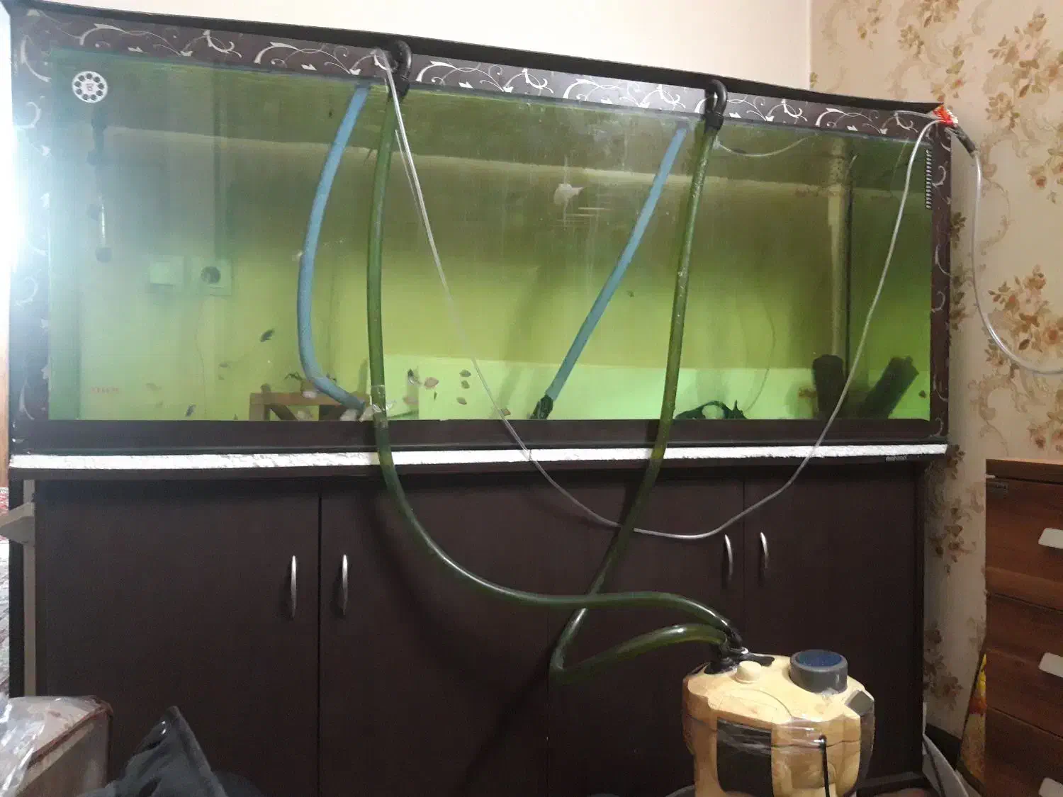 آکواریوم بزرگ ماهیران به همراه میز|ماهی|اصفهان, باغ کاران|دیوار