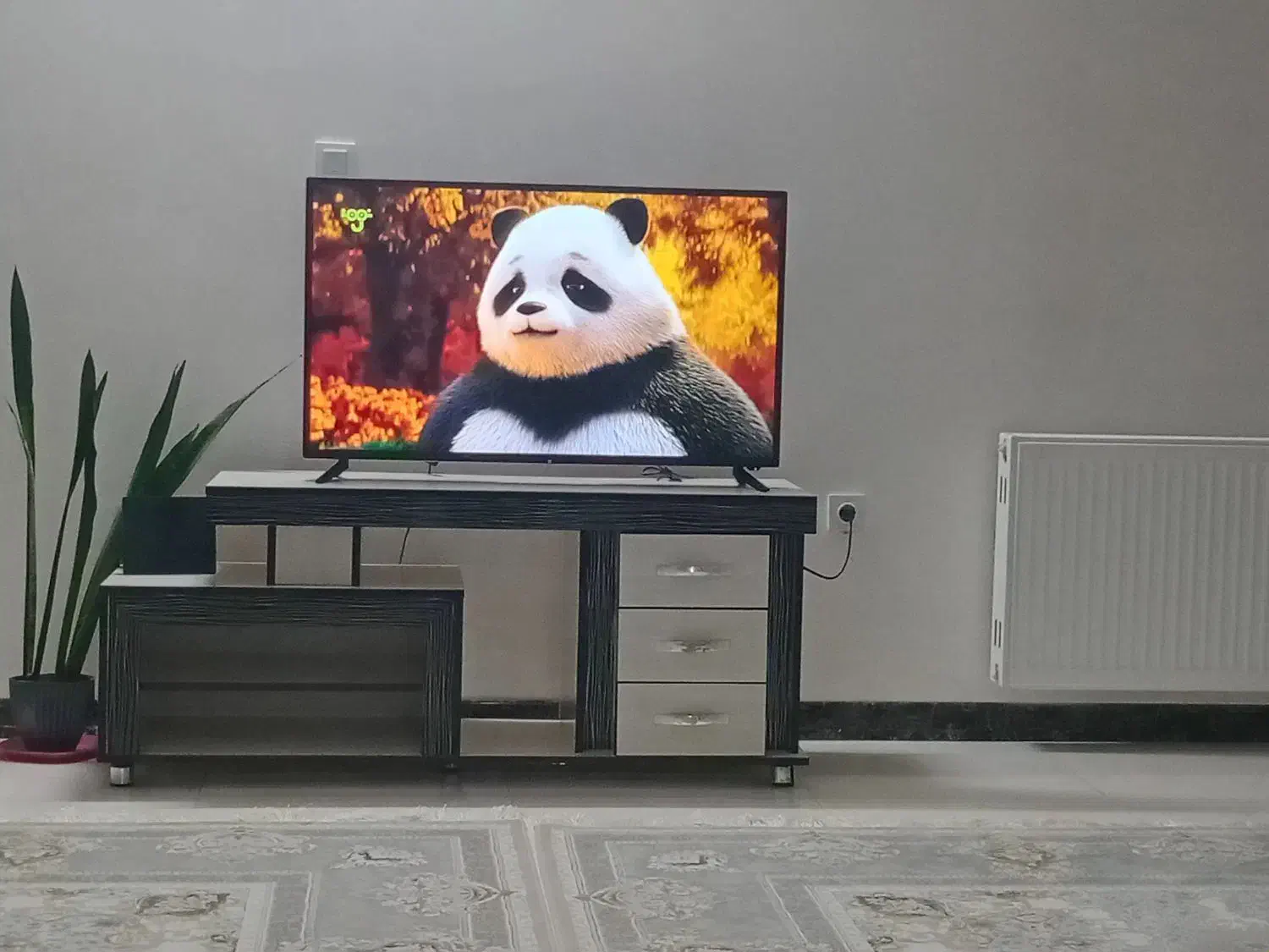 تلوزیون و میز|تلویزیون و پروژکتور|بجنورد, |دیوار