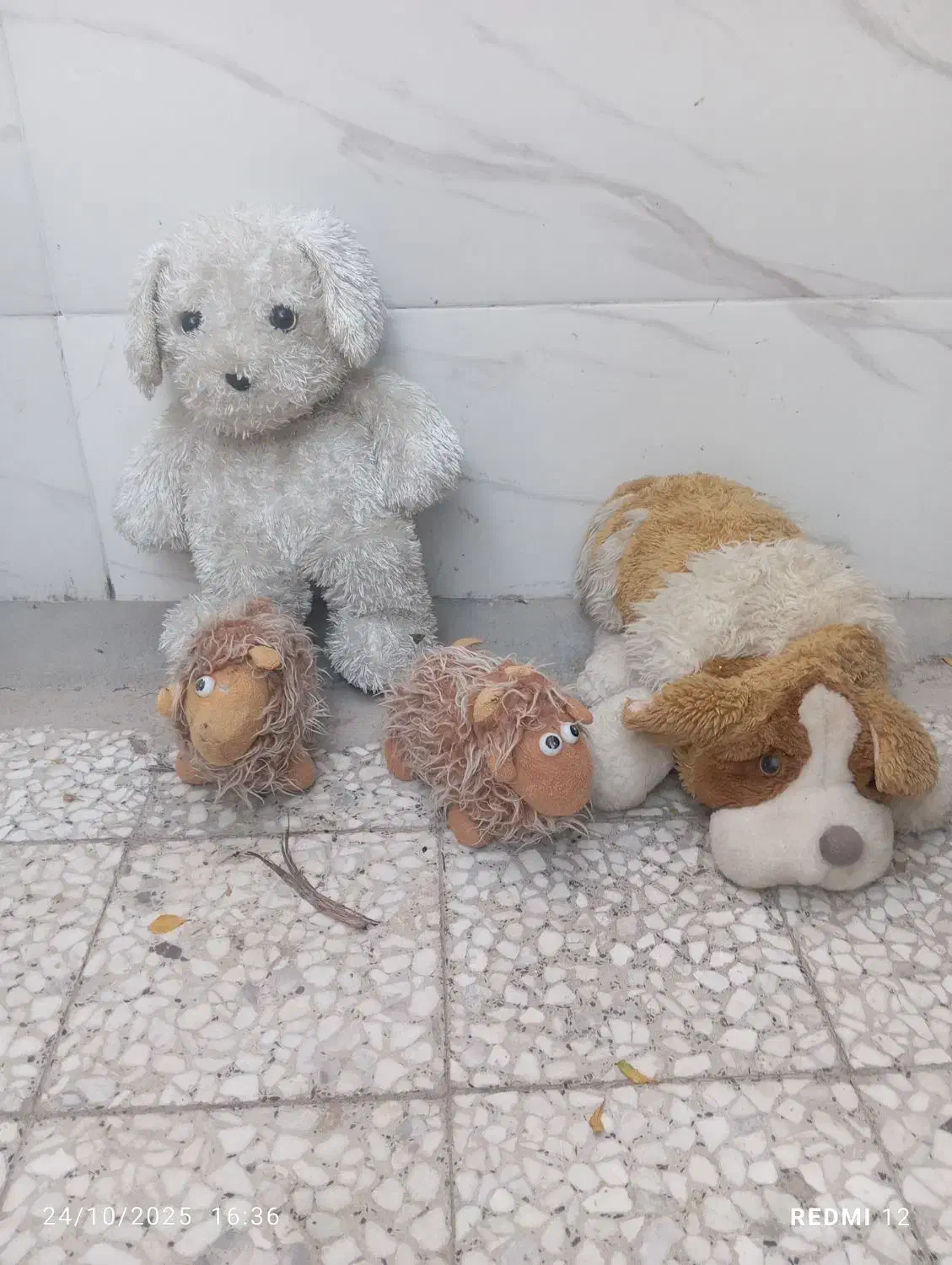 عروسک|اسباب‌بازی بچه|کرمان, |دیوار